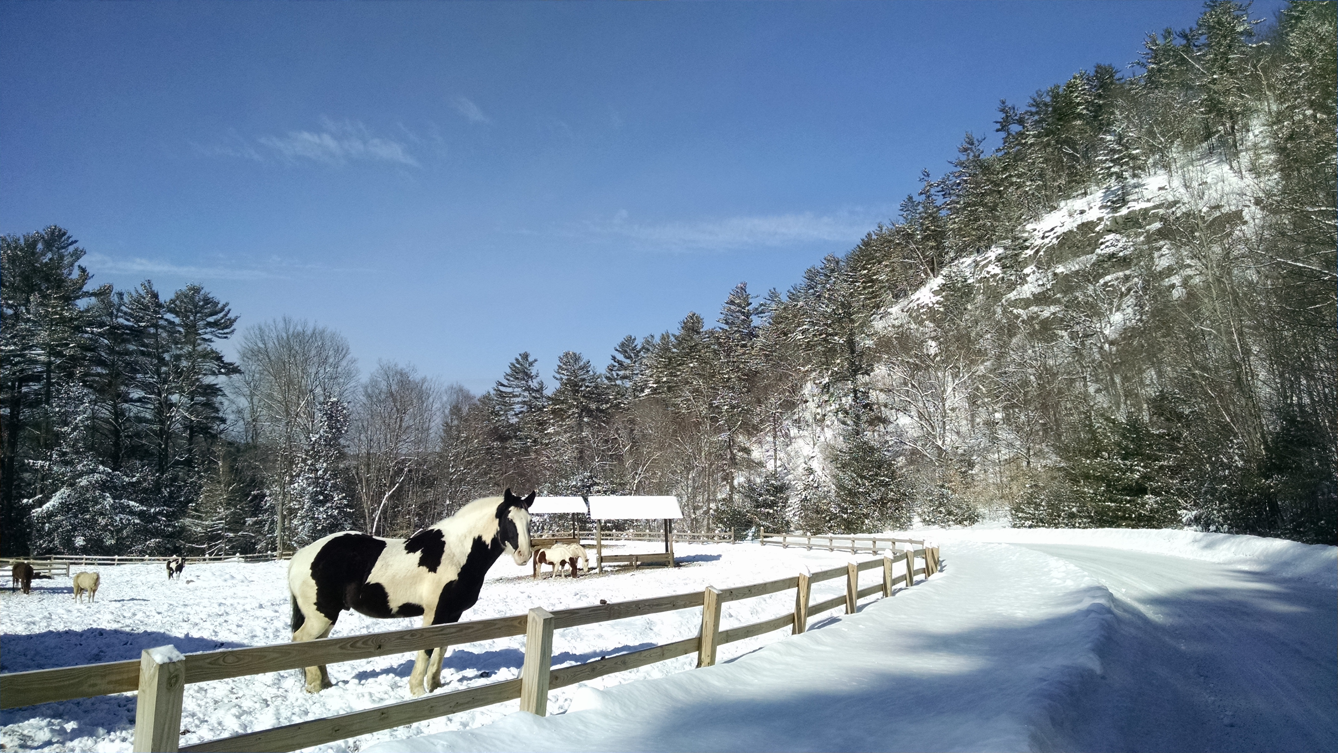 Ryca Ranch Gallery - Ridin-Hy Ranch Resort